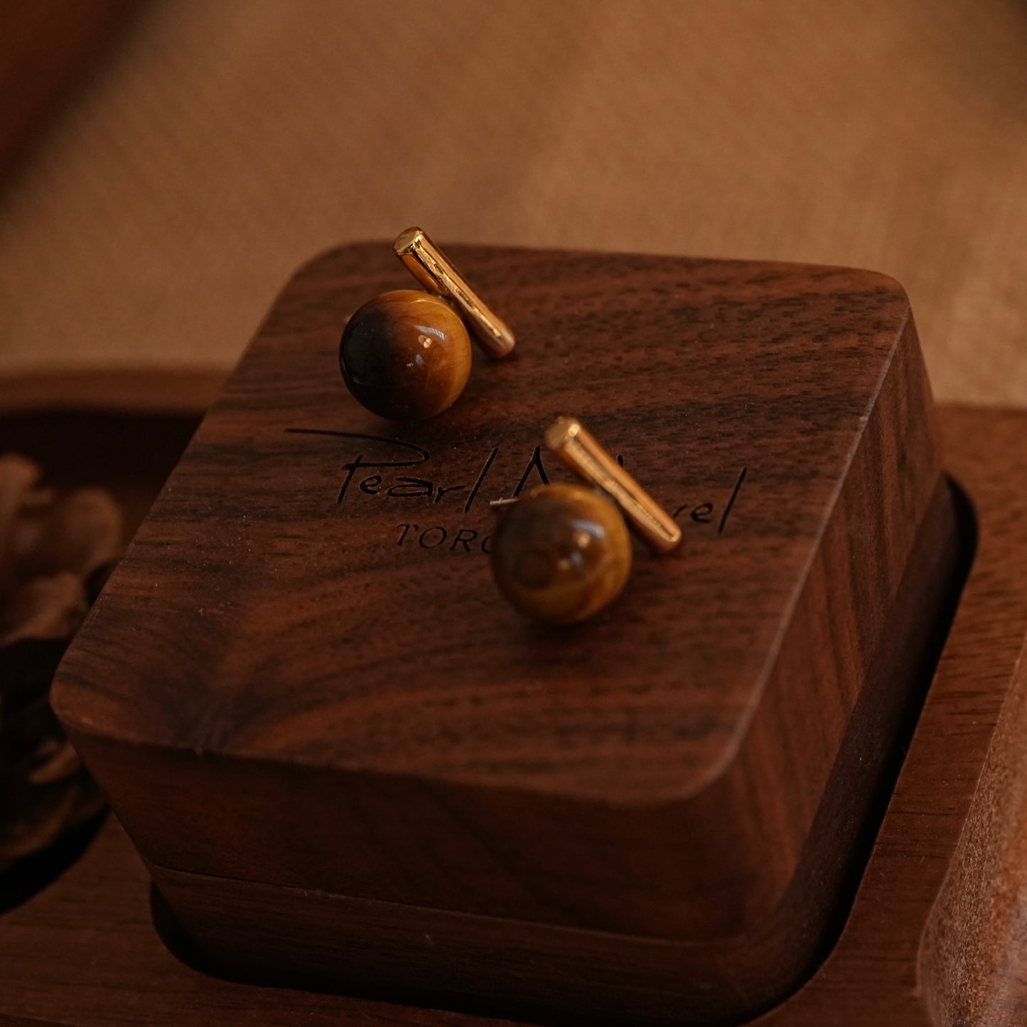 Balance Beam Tigerite Stone Earrings