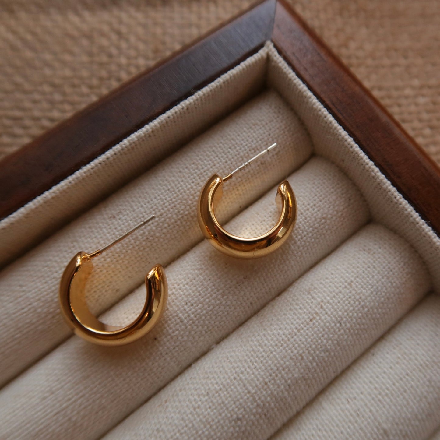 The Basics: Golden Loop Earrings