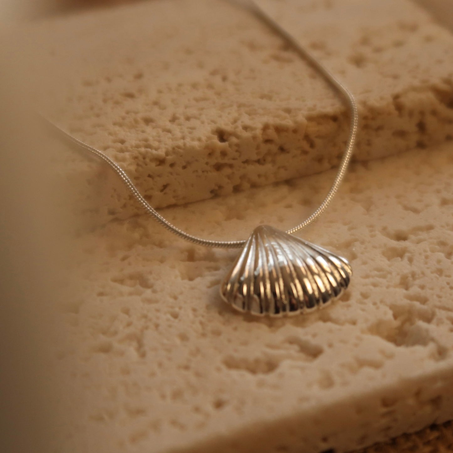 Tidal Echo Silver Shell Necklace