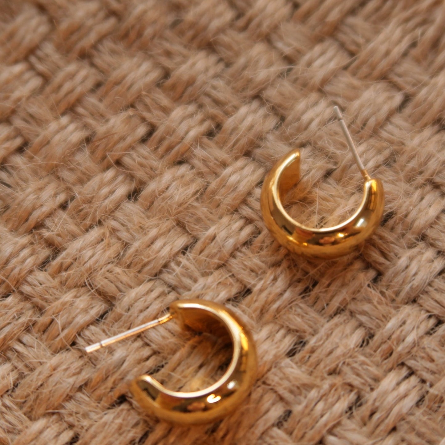 The Basics: Golden Loop Earrings