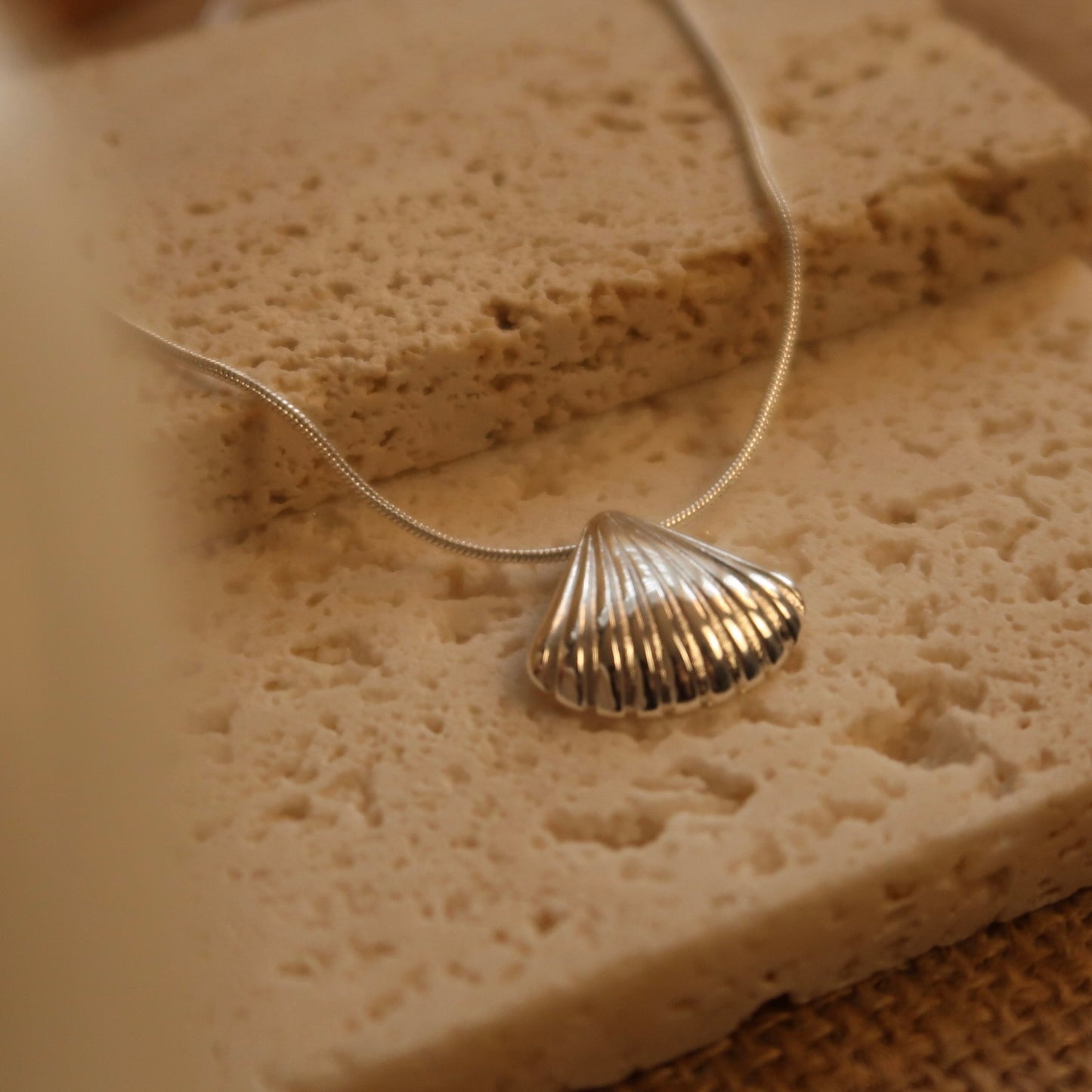 Tidal Echo Silver Shell Necklace