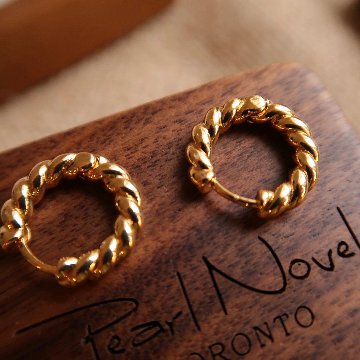 Twisted Loop Earrings